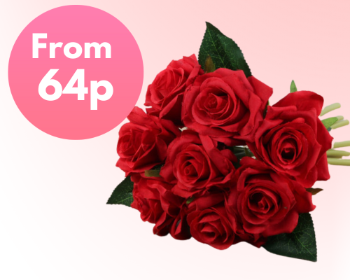 Red roses 