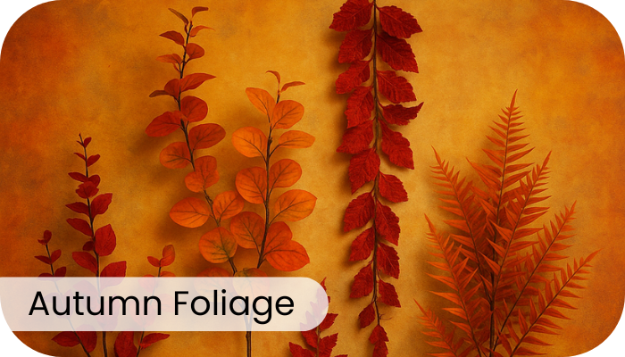 Autumn Foliage 