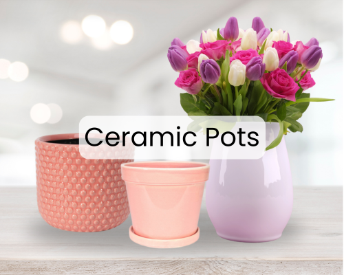 Ceramaic pots & Flowers 
