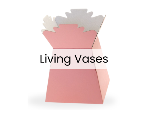 Pink Living Vases
