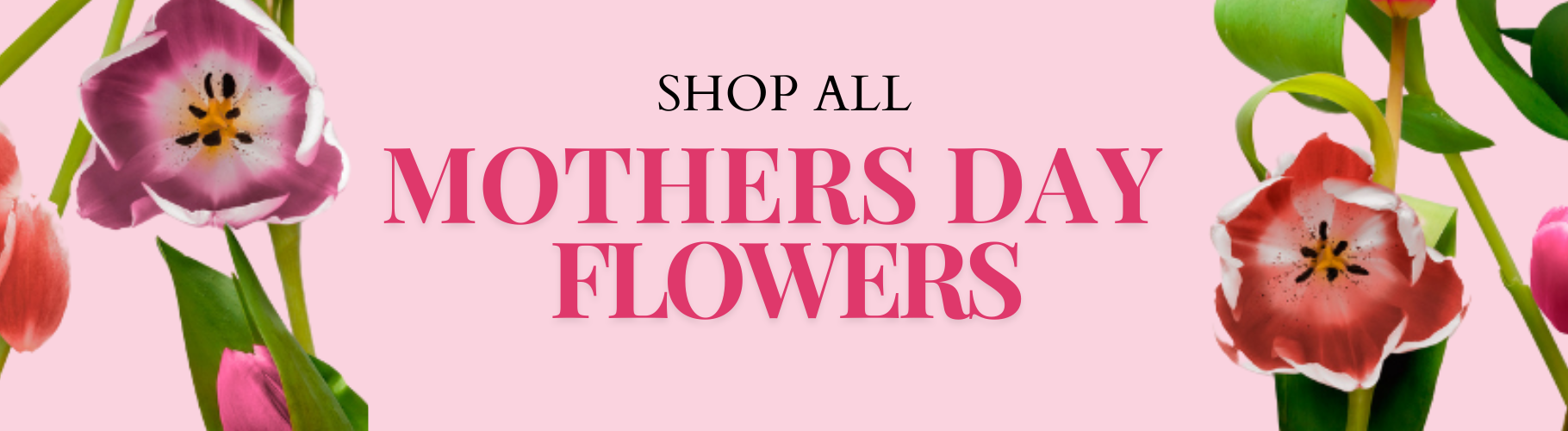 Mothers day flowers