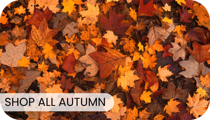 Shop all autumn- leaves 