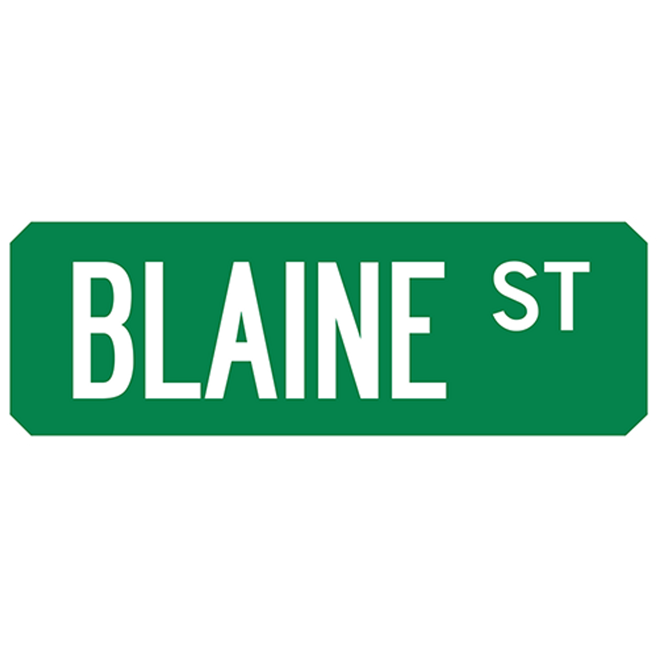 Blaine St Street Sign Muncie