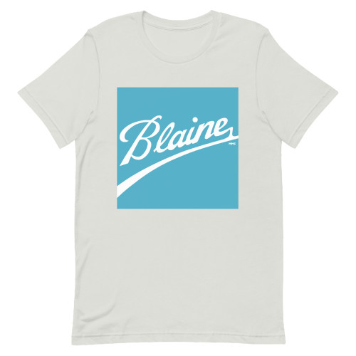 A mockup of the Blaine Neighborhood Ball Parody T-Shirt