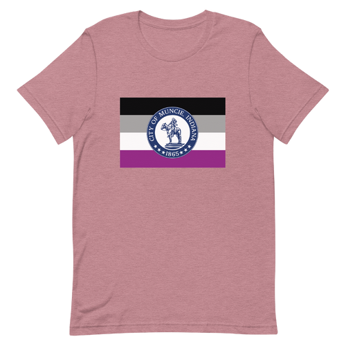 A mockup of the Asexual Muncie Pride Flag T-Shirt