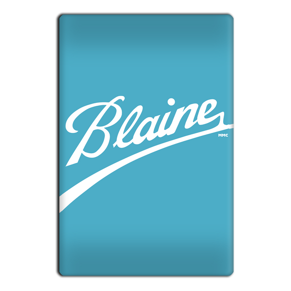 Blaine Neighborhood Ball Parody Magnet