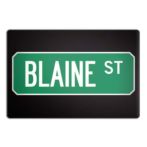 Blaine St Street Sign Muncie Magnet