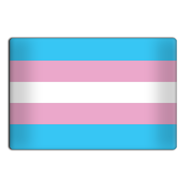 Trans Pride Flag Magnet