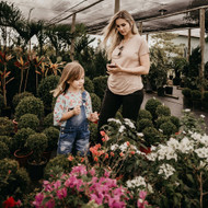 Tarping: how to use a tarp to keep your garden weed-free 