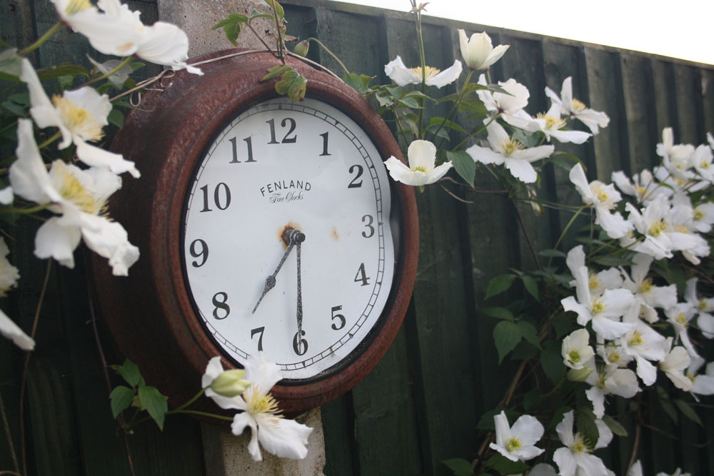 Clocks go Back – Time to cover your Prized Garden Stuff!