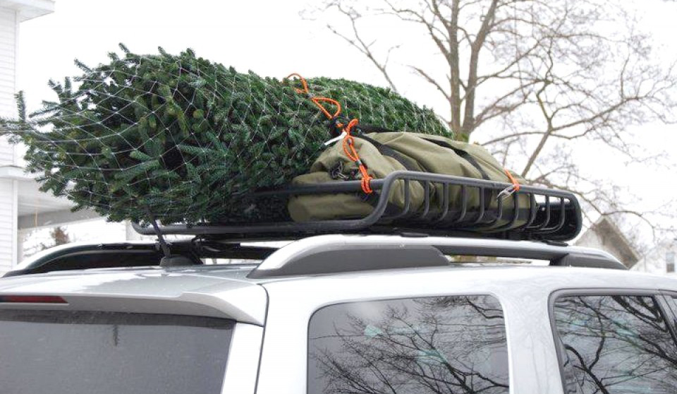 Time to Take Down Your Christmas Tree?
