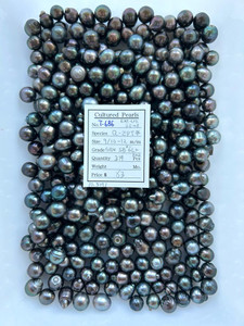 Tahiti - 9/10 - - 12mm - GRN SB K-6L+ - <TAG> - T-686