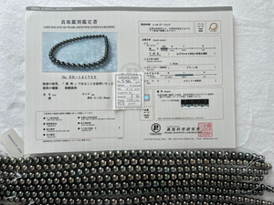 Necklace - Tahiti SK 8 - - 11mm - PEACOCK - RD 3L (CP-PP) - T-782