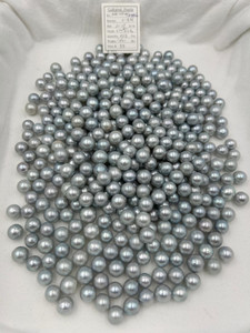 South Sea White - 11 - - 15mm - GTM K-2L1L (2/4) - <TAG> - S-4502