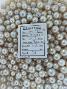 South Sea White - 6 -  - 15mm - K - W/C 3L2L1L AA/A - S-5742