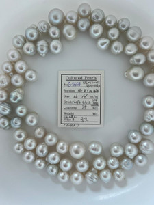 South Sea White - 12 - - 16mm - W/S CL 2 SPJ/AAA - S-5658