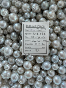 South Sea White - 10 - - 18mm - SILV CL+ AAA/AA - S-5660