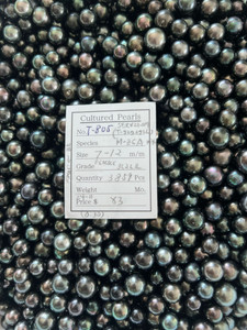 Tahiti - 7 - - 12mm - PEACOCK 3L2L1L - T-805