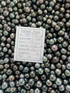 Tahiti - 7/8 - - 13mm - SS MMDK GRN 2L1L+ - T-869