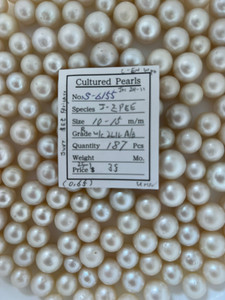 South Sea White - 10 - - 15mm - R W/C 2L1L A/B - S-6155