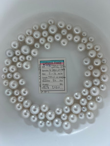 South Sea White - 9 - - 16mm - TOP+/- LS AAA/AA - S-6171