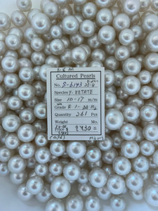 South Sea White - 10 - -17mm - W/S R 1- AA M2 - S-6143