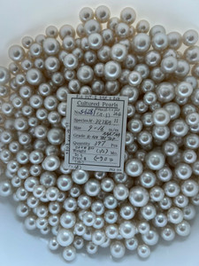 South Sea White - 9 - - 16mm - R-RN TOPTOP AAA/AA ( 1 / 2 ) - S-6281