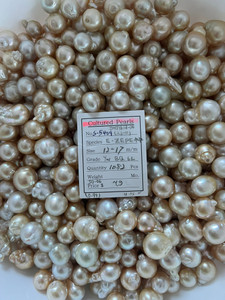 South Sea Natural Gold - 12 --  17mm - YW BQ 6L  - S-5409