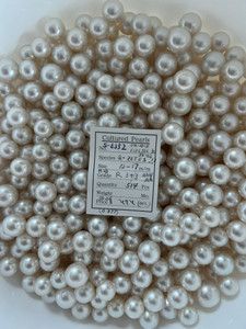 South Sea White - 12 - - 17mm - R 3+/3 AAA/AA (M2/3) - S-6352