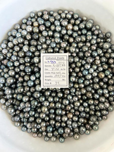 Tahiti - 7 - - 12mm - SS MED MULTI 2L AAA/AA - <TAG> - T-753