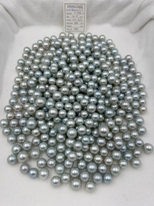 South Sea White - 12 - - 17mm - GTM 6L3L - <TAG> - S-3309