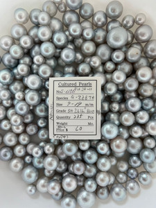 South Sea White - 9 - - 19mm - SH 2L1L+ Blue - S-6156