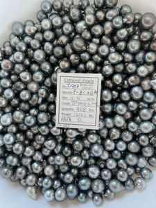 Tahiti - 11 - - 16mm - MED LT DPSB 3L AAA/AA ( 2 / 2) - <TAG> - T-907