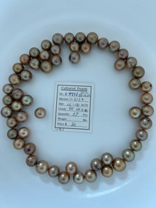 South Sea Dyed Gold - 12 - - 14mm - BR SH 1L AA- - <TAG> - S-4791