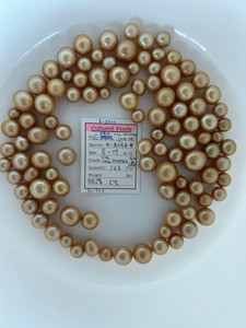 South Sea Natural Gold - 8 - - 17mm - COGSDG OVDPBU 6L A - <TAG> - S-5922