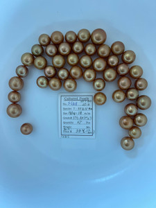 South Sea Dyed Gold - 13/14 - - 18mm - R 3+/3 AA (M3) - <TAG> - S-6308