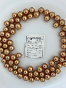 South Sea Dyed Gold - 12 - - 15mm - R-RN 2/3+ AAA GEM - S-6569