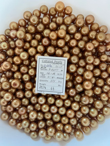 South Sea Dyed Gold - 12 - - 16mm - R 4 AA+ SH - S-6572