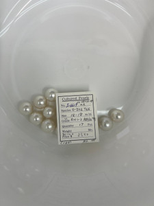 South Sea White - 14 - - 18mm - W RN 1-2 AAA/AA M3 - S-6619