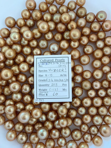 South Sea Dyed Gold - 11 - - 15mm - R 3-4 AAA/AA SH ( 1 / 2 ) - S-6636