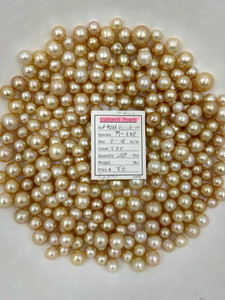 South Sea Natural Gold - 8 - - 16mm - DGLG SCR SCR - <TAG> - S-4263