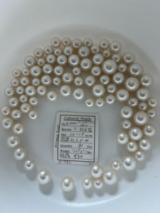 South Sea White - 10 - - 17mm - CAS AA RD 3-3+ AA - <TAG> - S-5790