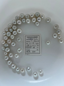 South Sea White - 11 - - 15mm - W/S BFBQ 6L GEMAAA - <TAG> - S-5854