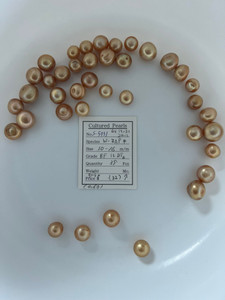 South Sea Dyed Gold - 10 - - 16mm - BF 1L - DTA - <TAG> - S-5991