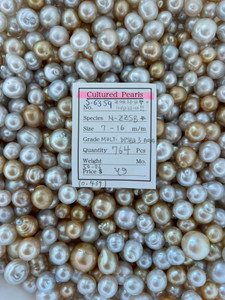 South Sea Natural Gold - 7 - - 16mm - MULTI DPSBQ 3 AAA - <TAG> - S-6359