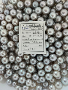 South Sea White - 10 - - 17mm - B/SH 3-4 AAA/AA - <TAG> - S-6451