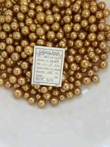 South Sea Dyed Gold - 11 - - 19mm - RNSR 2-3+ AAA/AA - <TAG> - S-6625