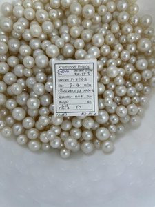 South Sea White - 9 - - 16mm - W NRSR 3-5 AA/A-B - S-6710