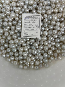 South Sea White - 8 - - 12mm - S OVDP 4-5 AAA/AA - S-6718