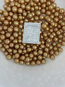 South Sea Dyed Gold - 11 - - 18mm - R 1-2/2 AAA- ( 1 / 2 ) - S-6735